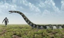 大人是种奇怪的生物_150字