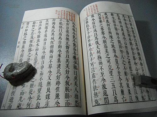 楚黄 - 第17卷jiusi（汉泰仲南