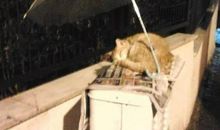 雨夜：感动的事_450字