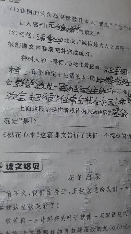 六年级日记：可爱的小猫_300字
