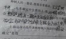 六年级日记：可爱的小猫_300字