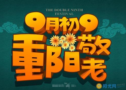 有趣的双第九节_400字