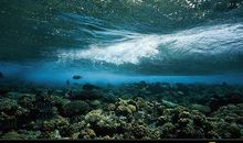 海底二百万里_1200字