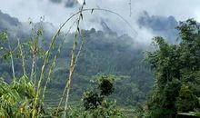 大瑶山里的“莫爸爸”_800字