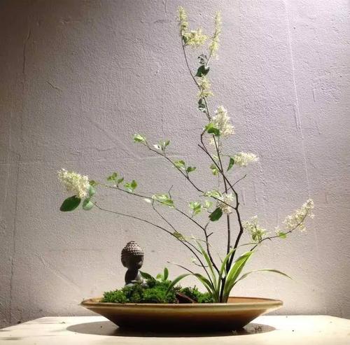 生活就像一朵花，爱是蜂蜜，一朵花_450字