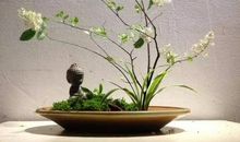 人生如花，而爱便是花的蜜_450字