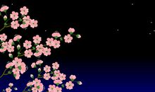 是花，就要绽放_800字