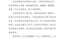 我的新老师_350字