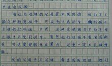 树叶历险记_800字