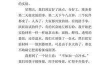 有趣的数学_600字