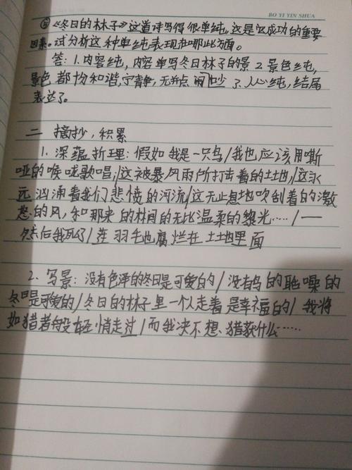 水浒传阅读_450字