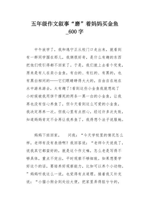 我的六星级母亲_2000字