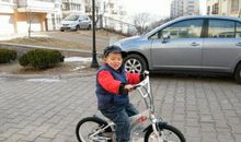 爱骑自行车的我_250字