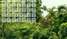 [六月征文]这个夏天不说再见_600字