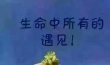 [感谢征文]感谢有你_800字