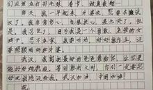 写给《小读者》的一封信_250字