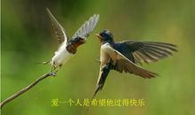 [超新星小学组]我要给世界一个爱鸟节_550字