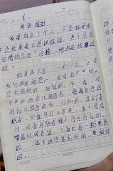 我的堂兄_300字