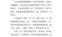 我的小弟弟_400字