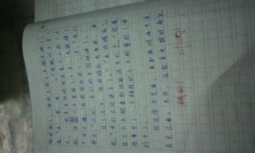 我有一个好伙伴_300字