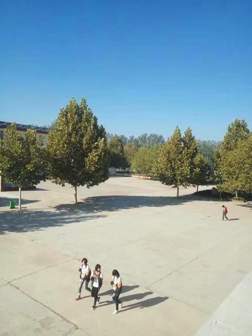 我们的校园就像绘画_650字样