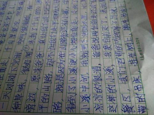 三年级写道：真诚的阿姨_400字