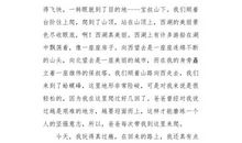 三年级写人作文：爬山记_400字