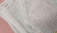 新来的语文老师_600字