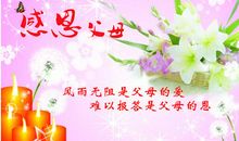 爱搞怪的弟弟_700字