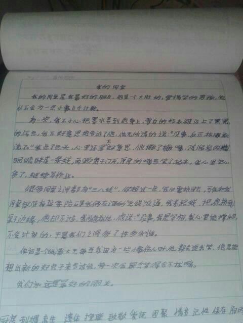 我的小伴侣_700字