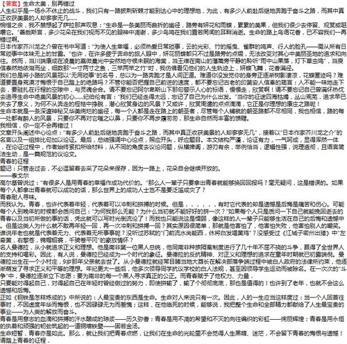 第一个说明：一切都在哀悼_800字