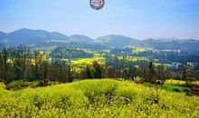 岁月偷不走的_750字