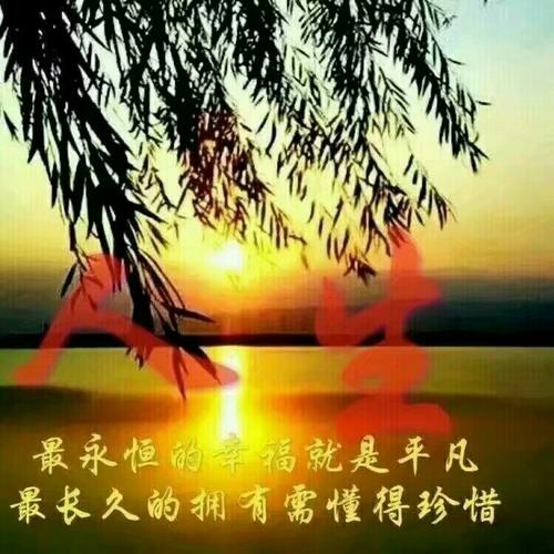 感恩节在路上，你有你_900字