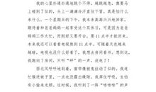 我是一个“小偷”_600字