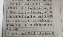 三年级写人作文：母爱_我爱我的妈妈_250字