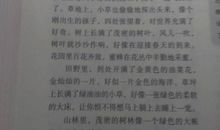 三年级写人作文：我的胆小鬼同桌_500字