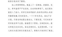 “严格”的班主任_250字