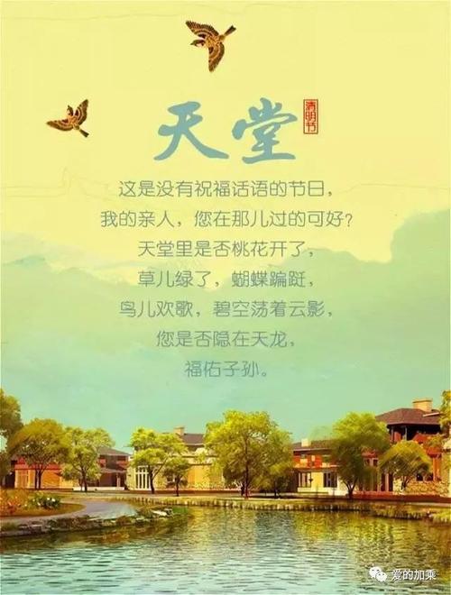 假期我想念_500字