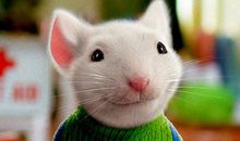 老鼠也有良心_550字