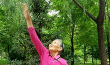 家有老顽童_450字