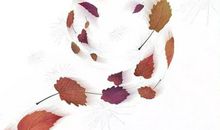 守护甜心之冰雪姐妹（二）_1200字