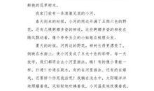 永远忘不了你，老师！_400字