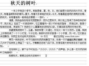 我自己的_250字