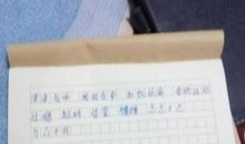 与众不同的我_500字