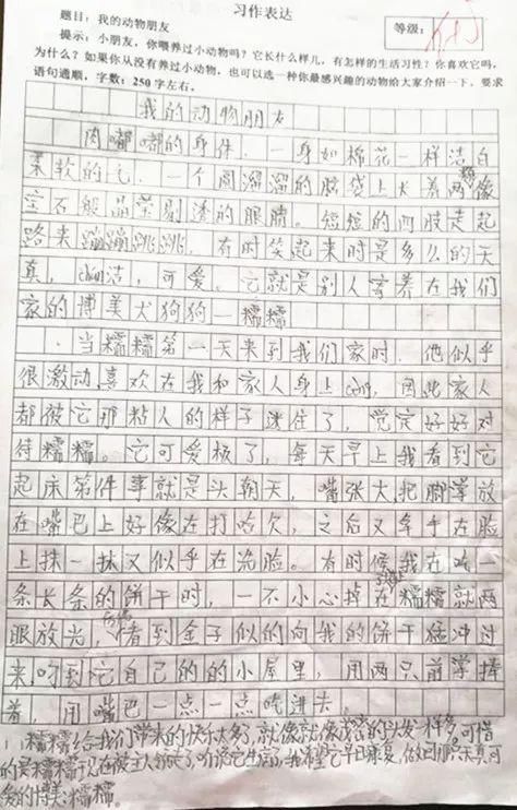 三年级写作组成：我的朋友_400字