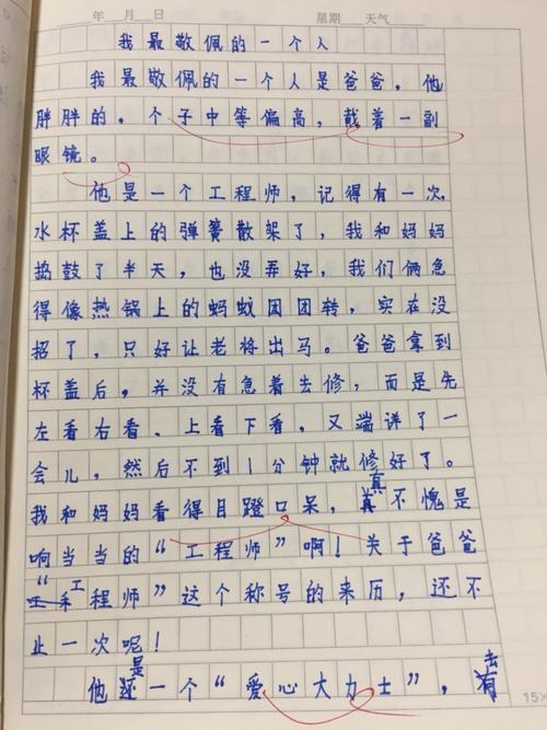 最受钦佩的爸爸_500字