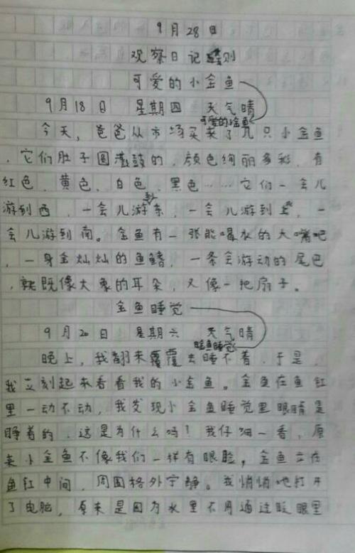 三年级写作组成：在同一表（3）_350字