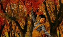 [秋天的童话]没有伤的秋_1200字