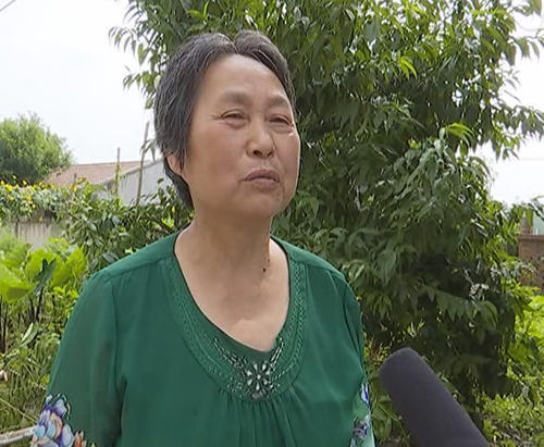 世界上有一个真相_700字