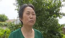 人间有真情_700字